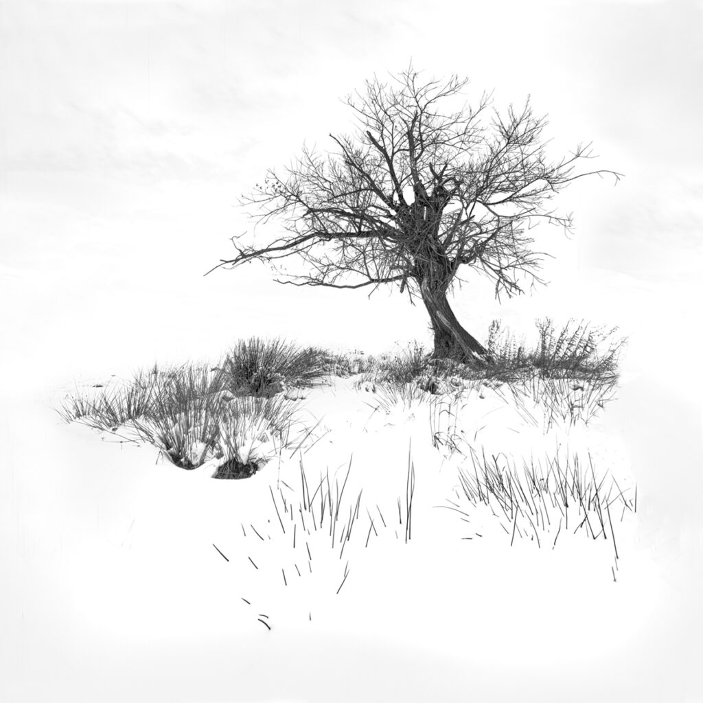 IMG 9009 Final 2 4 1