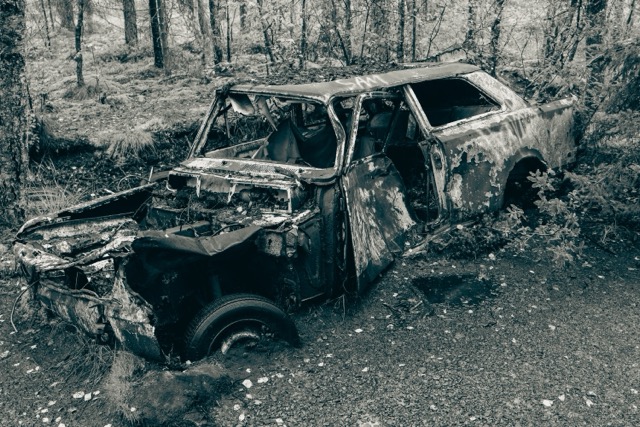 Mittel Wald der Verg. 1