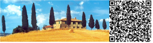 Analog Experience - Toscana - Siena und Florenz 2 Vortrag Toscana